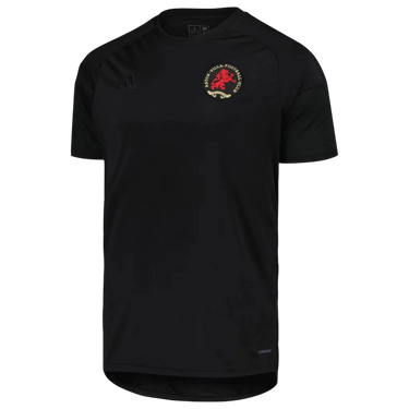 Camisa Aston Villa 2024/25 - 150 Anos